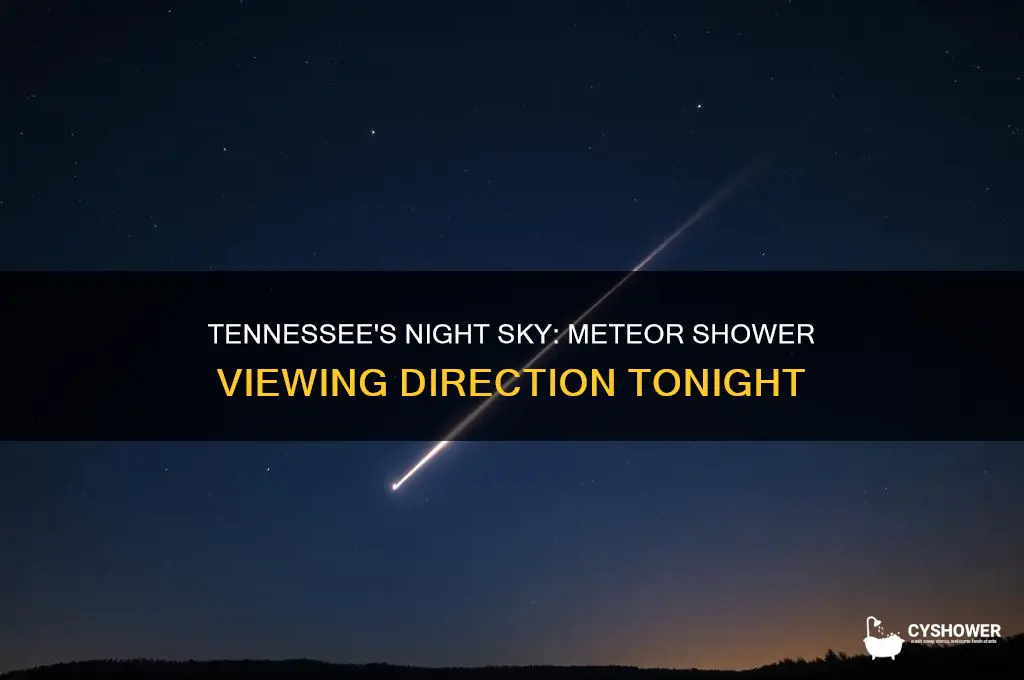 what direction is the meteor shower tonight near tennessee