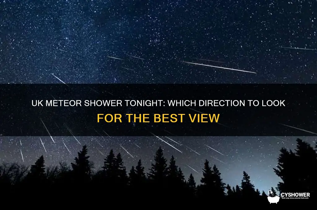 what direction is the meteor shower tonight uk