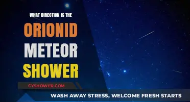 Orionid Meteor Shower: Tracking Its Radiant Point in the Night Sky