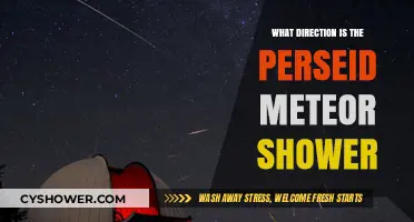 Where to Look: Perseid Meteor Shower's Radiant Direction Guide