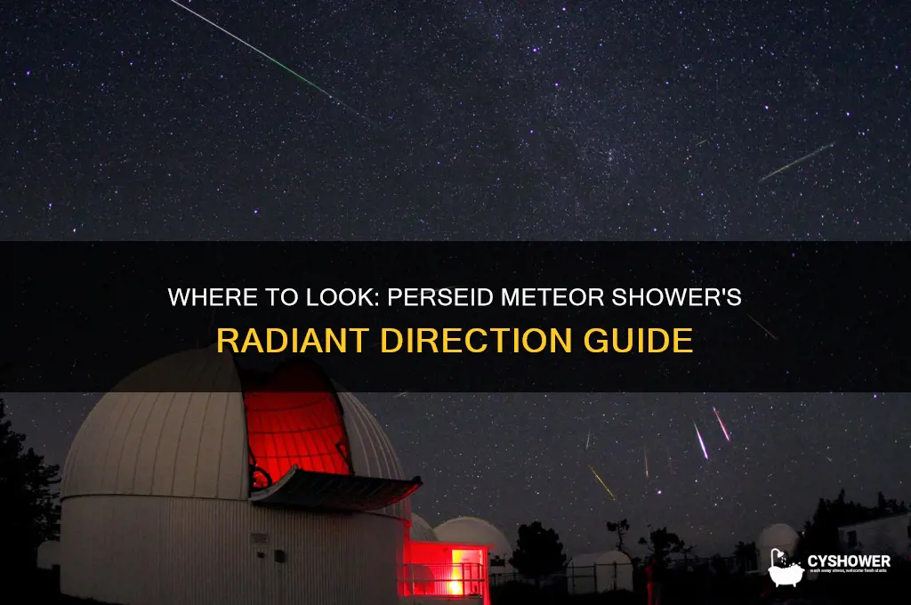 what direction is the perseid meteor shower