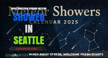 Seattle's Perseid Meteor Shower: Best Viewing Direction Guide