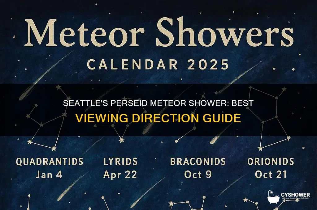 what direction persiad meteor shower in seattle