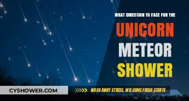 Best Viewing Direction for the Unicorn Meteor Shower: A Guide