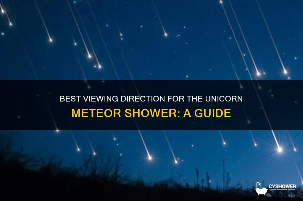 what direction to face for the unicorn meteor shower