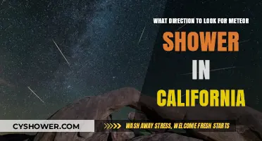 Best Viewing Direction for California's Meteor Shower: A Guide