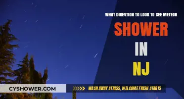 NJ Meteor Shower Viewing Guide: Best Direction for Stargazers