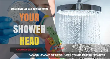 Shower Head Health Hazards: Unseen Diseases Lurking in Your Bathroom