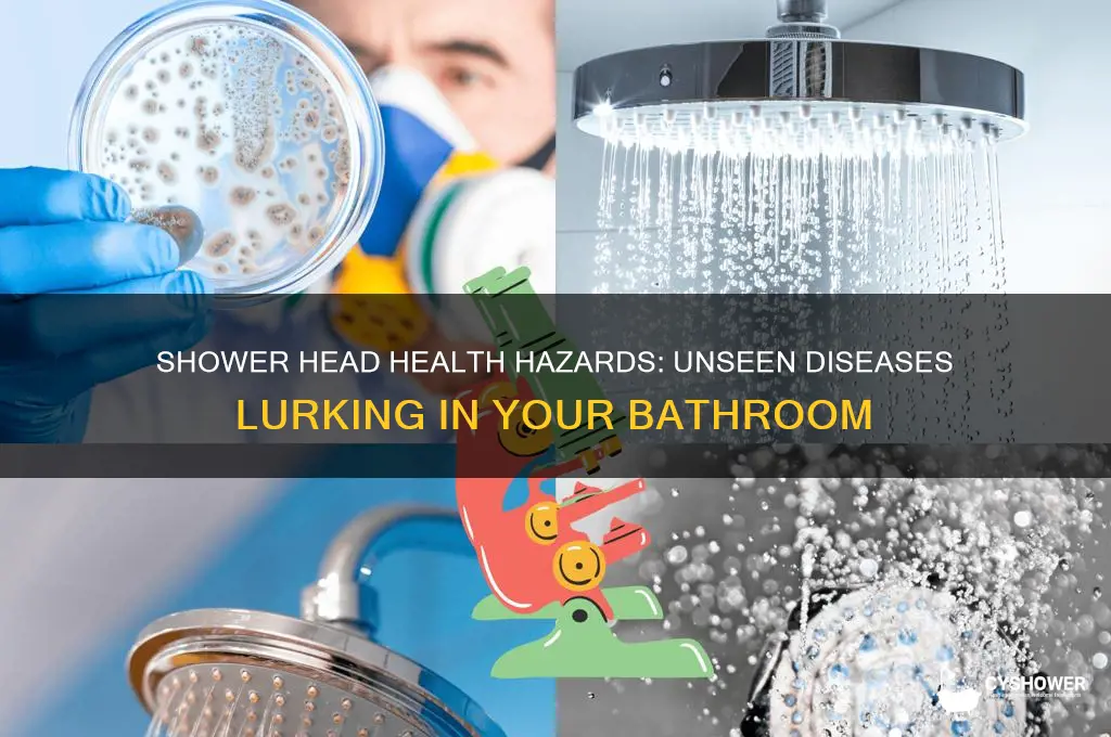 what diseases can you get from your shower head