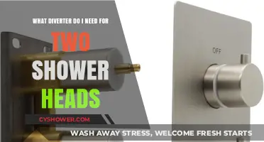 Choosing the Right Diverter Valve for Dual Shower Head Systems