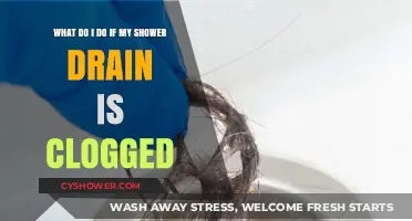 Shower Drain Clogged? Quick Fixes and Prevention Tips for You