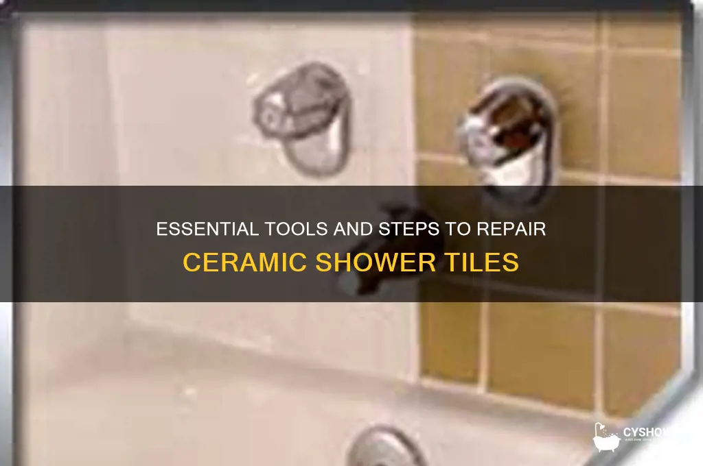 what do i need to fix ceramic shower