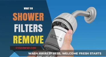 Shower Filters: What Contaminants Do They Remove for Cleaner Water?