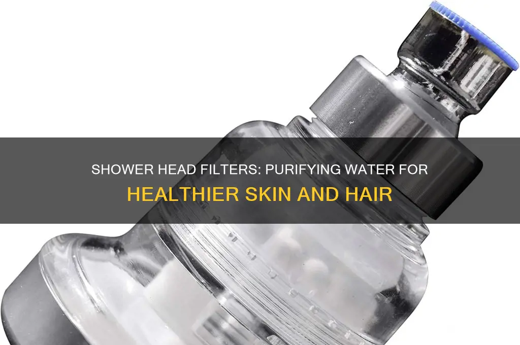what do shower head filters do