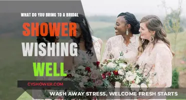Bridal Shower Wishing Well: Thoughtful Gift Ideas for the Happy Couple