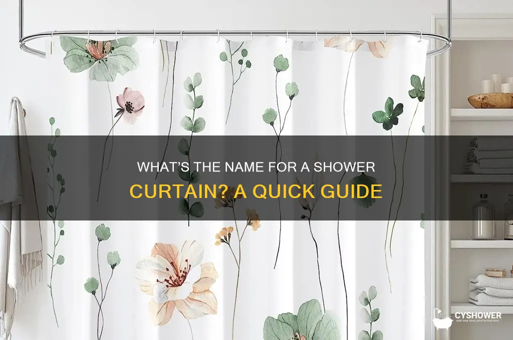 what do you call a curtain around the shower
