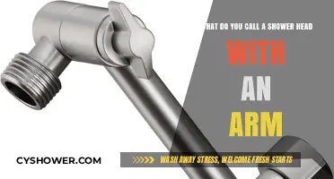 Shower Head with an Arm: Unveiling the Proper Name and Function