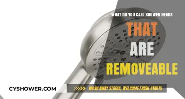 Detachable Shower Heads: Exploring the Names for Removable Shower Fixtures