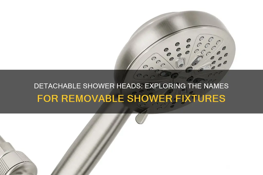 what do you call shower heads that are removeable