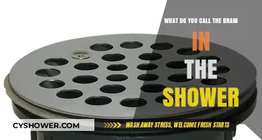 What’s the Name for the Shower Drain? A Quick Guide