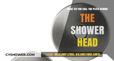 Shower Head Plate Name: Unveiling the Mystery Behind the Fixture