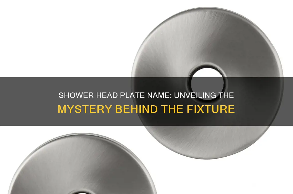 what do you call the plate behind the shower head