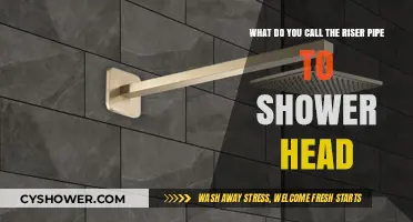 Understanding the Shower Arm: Riser Pipe to Shower Head Connection