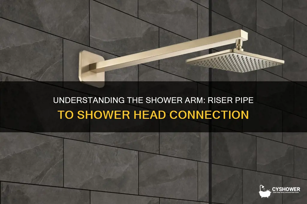 what do you call the riser pipe to shower head