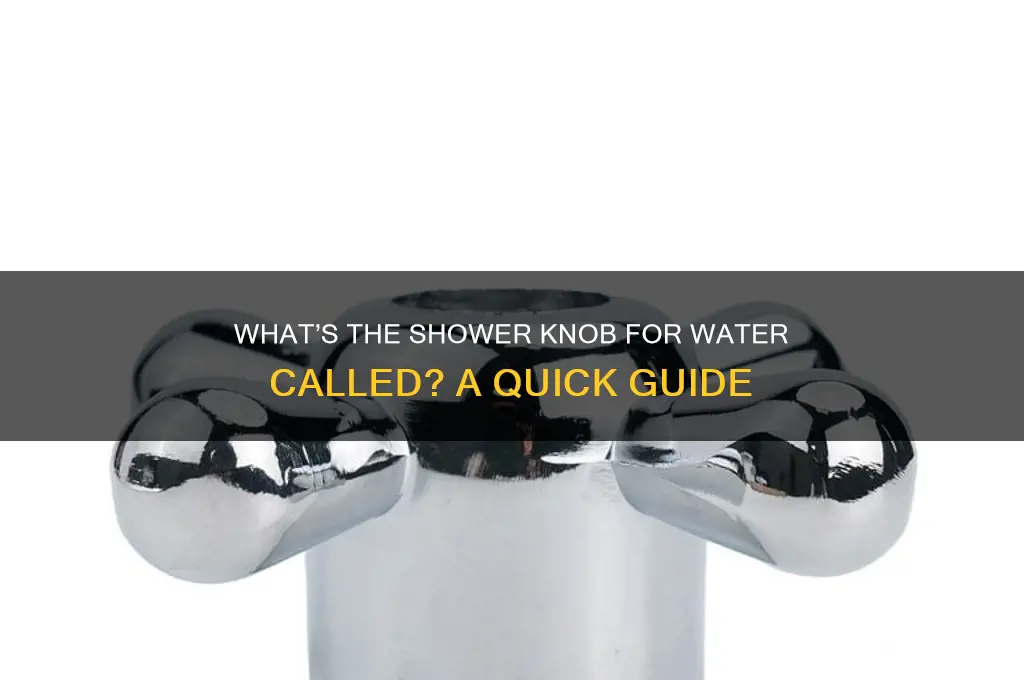 what do you call the shower knob for the water