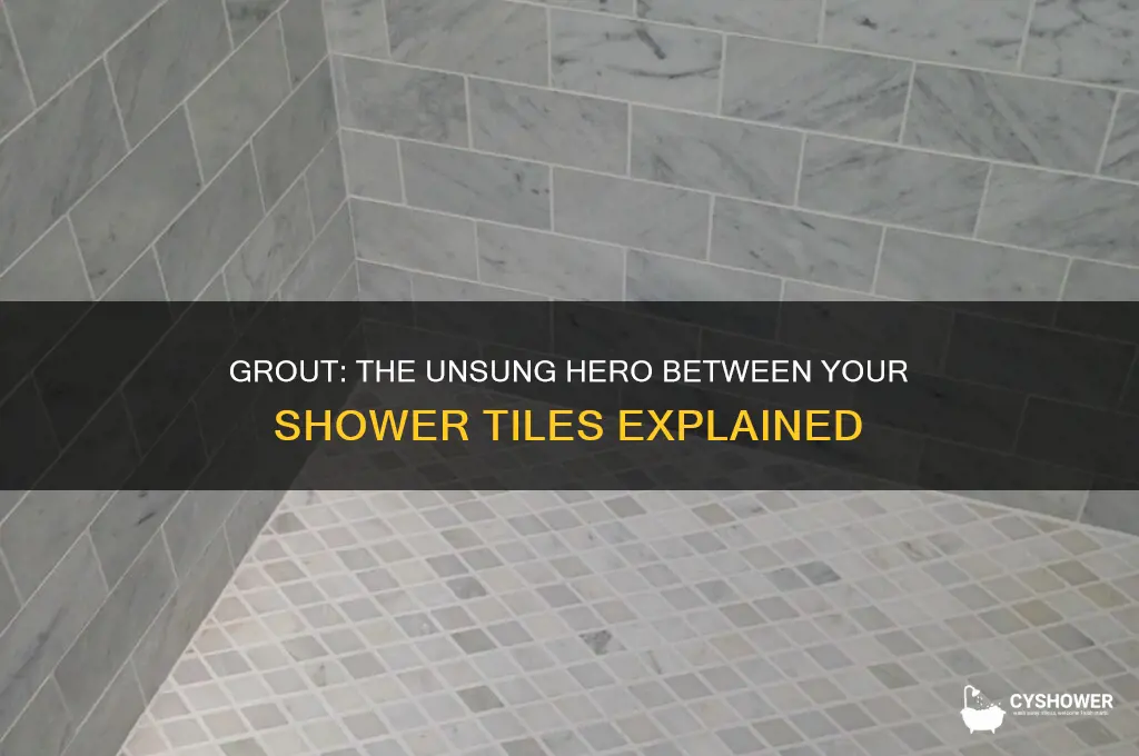 what do you call the stuff in between shower tiles