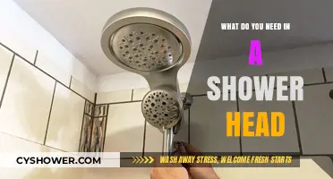 Essential Features to Look for in the Perfect Shower Head