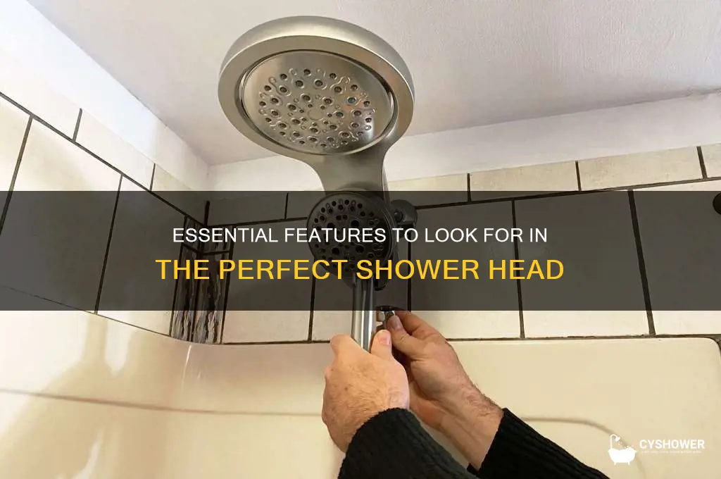 what do you need in a shower head