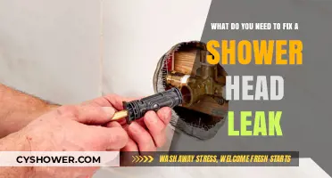 How to Fix a Shower Head Leak: Essential Tools and Steps