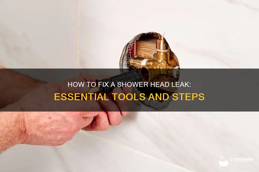 what do you need to fix a shower head leak