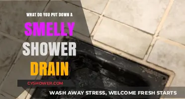 Freshen Your Shower: Effective Solutions for Smelly Drain Odors