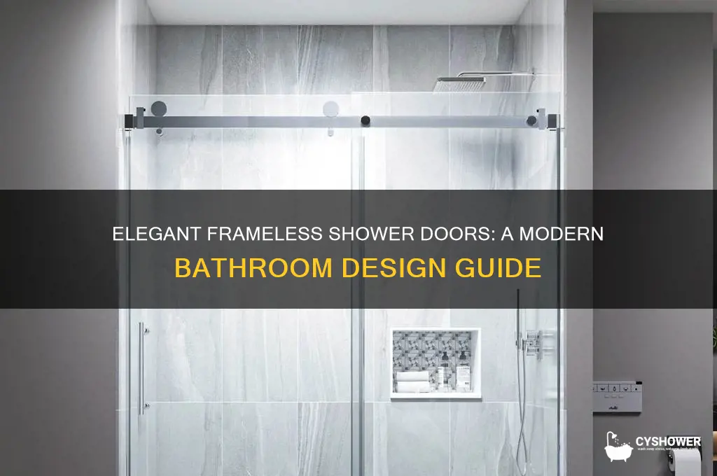 what does a frameless shower door look like
