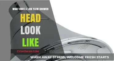 Low Flow Shower Heads: Design, Appearance, and Eco-Friendly Benefits