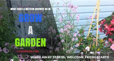 Meteor Showers and Garden Growth: Unveiling the Cosmic Connection
