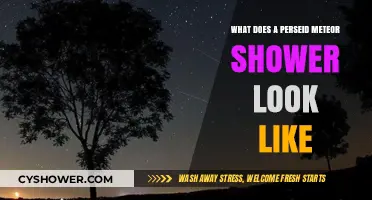 Perseid Meteor Shower: A Celestial Spectacle of Shooting Stars Explained