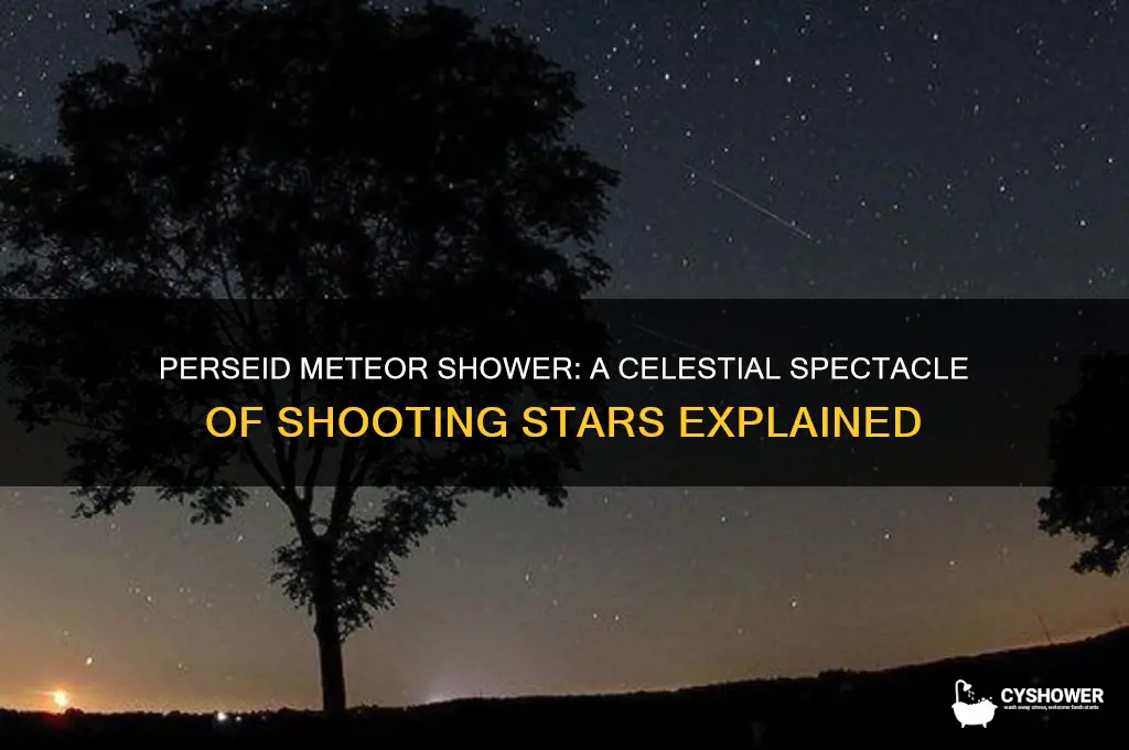 what does a perseid meteor shower look like