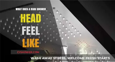 Experience the Bliss: What a Rain Shower Head Feels Like
