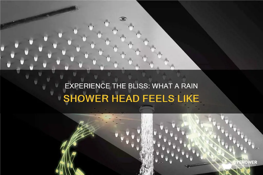 what does a rain shower head feel like