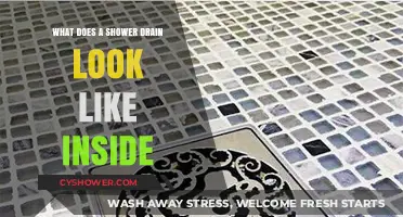 Inside a Shower Drain: Anatomy, Function, and Common Issues Explained