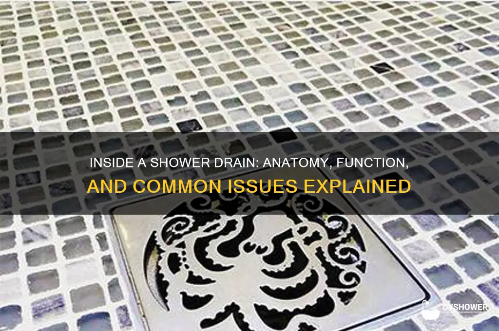 what does a shower drain look like inside