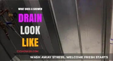 Exploring the Anatomy of a Shower Drain: What It Looks Like