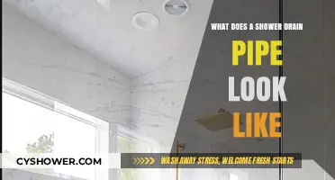 Understanding Your Shower Drain Pipe: A Visual Guide to Its Design