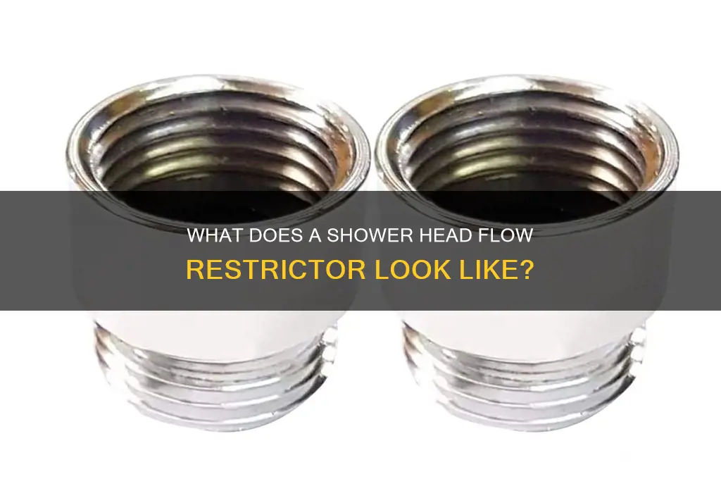 what does a shower head flow restrictor look like