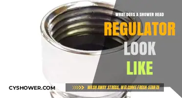 What Does a Shower Head Regulator Look Like? A Visual Guide