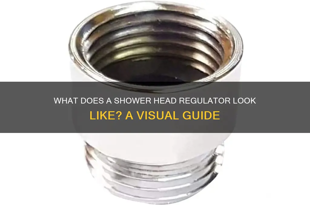 what does a shower head regulator look like