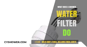 Shower Water Filters: Purifying Your Water for Healthier Skin and Hair